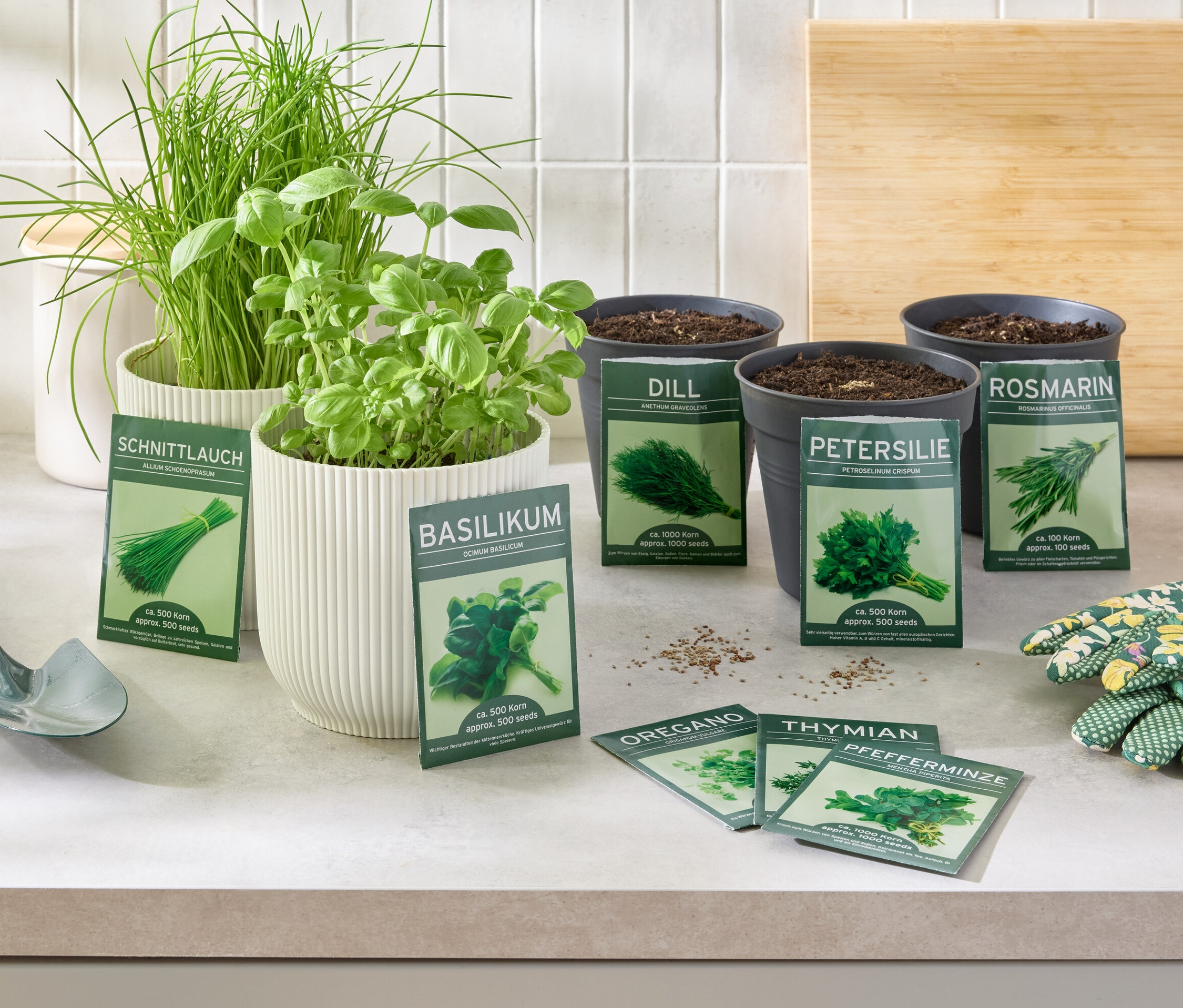 8 bylinkových klasík Bylinky v kvetináčoch a semená na stole s rukavicami a lopatkou.