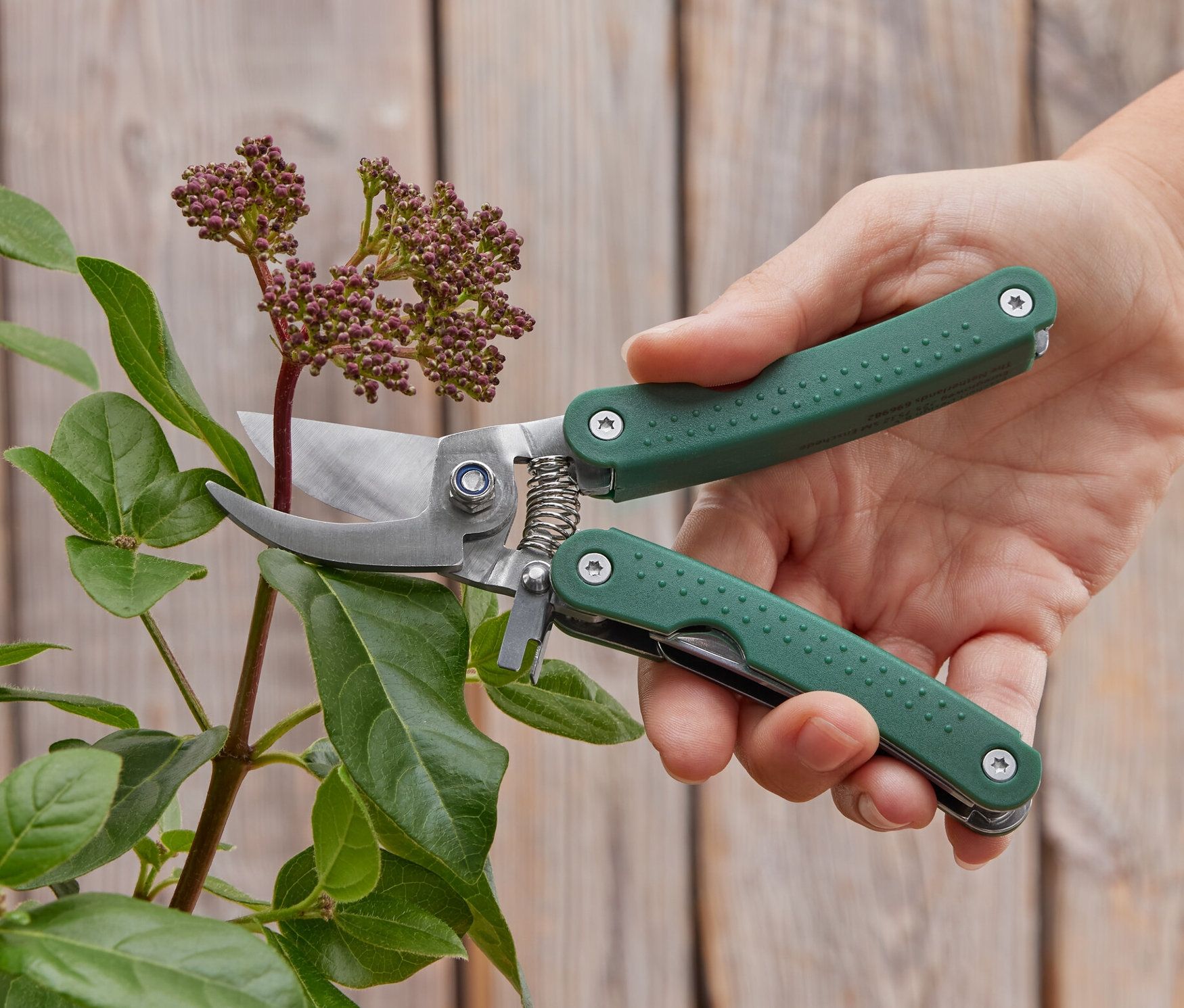 Ruka strihá rastlinu multifunkčnými záhradnými nožnicami.