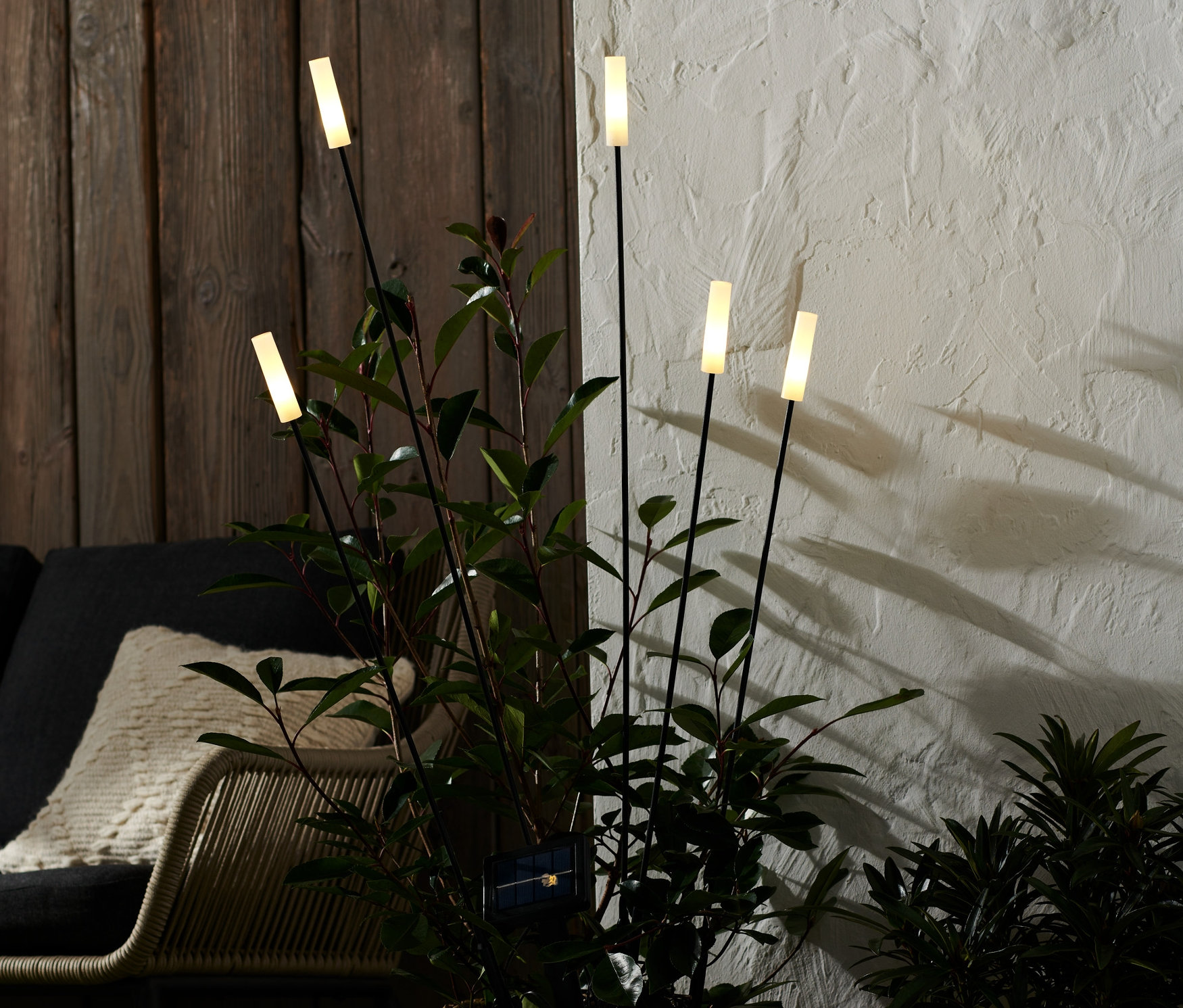 Prútený kvetináč s rastlinou a 5 záhradnými solárnymi svietidlami.