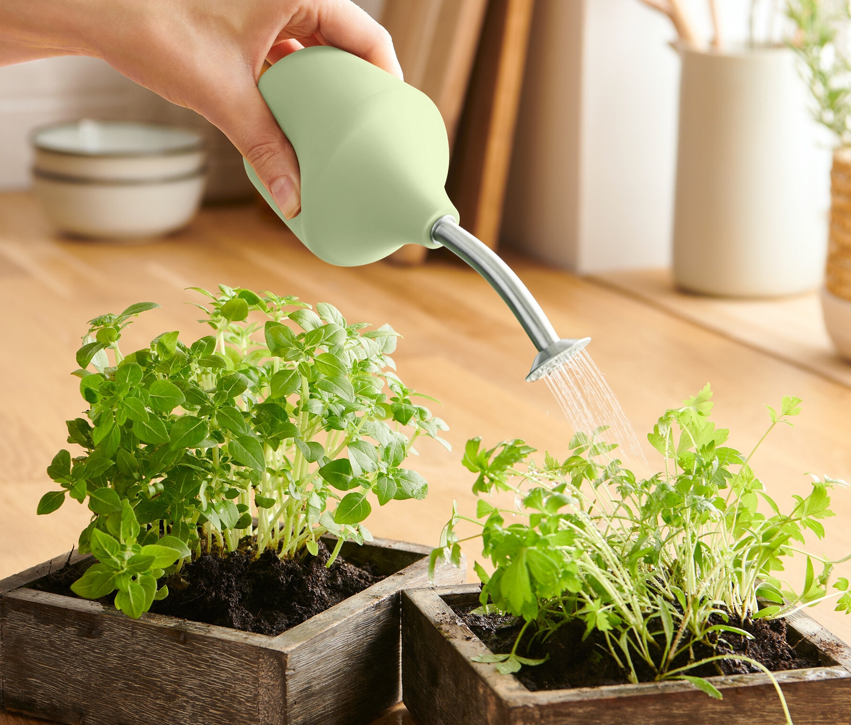 Ruka zalieva Pestovateľskou záhradnou sprchou dve rastliny v drevených kvetináčoch.