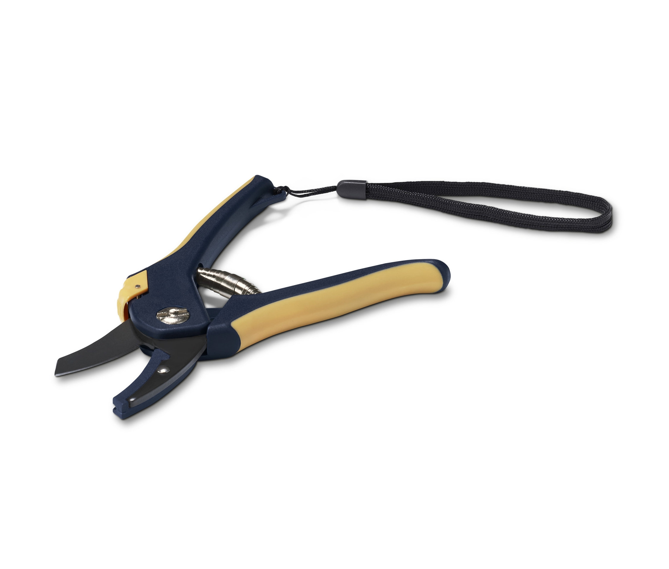 Modré záhradnícke nožnice so žltými rúčkami a čiernou šnúrkou.