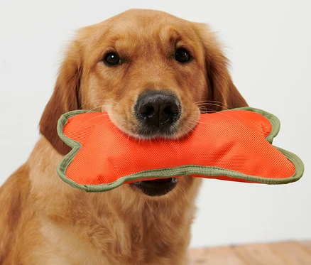 Zlatý retriever drží v papuli oranžovú hračku pre psy »Kosť«.