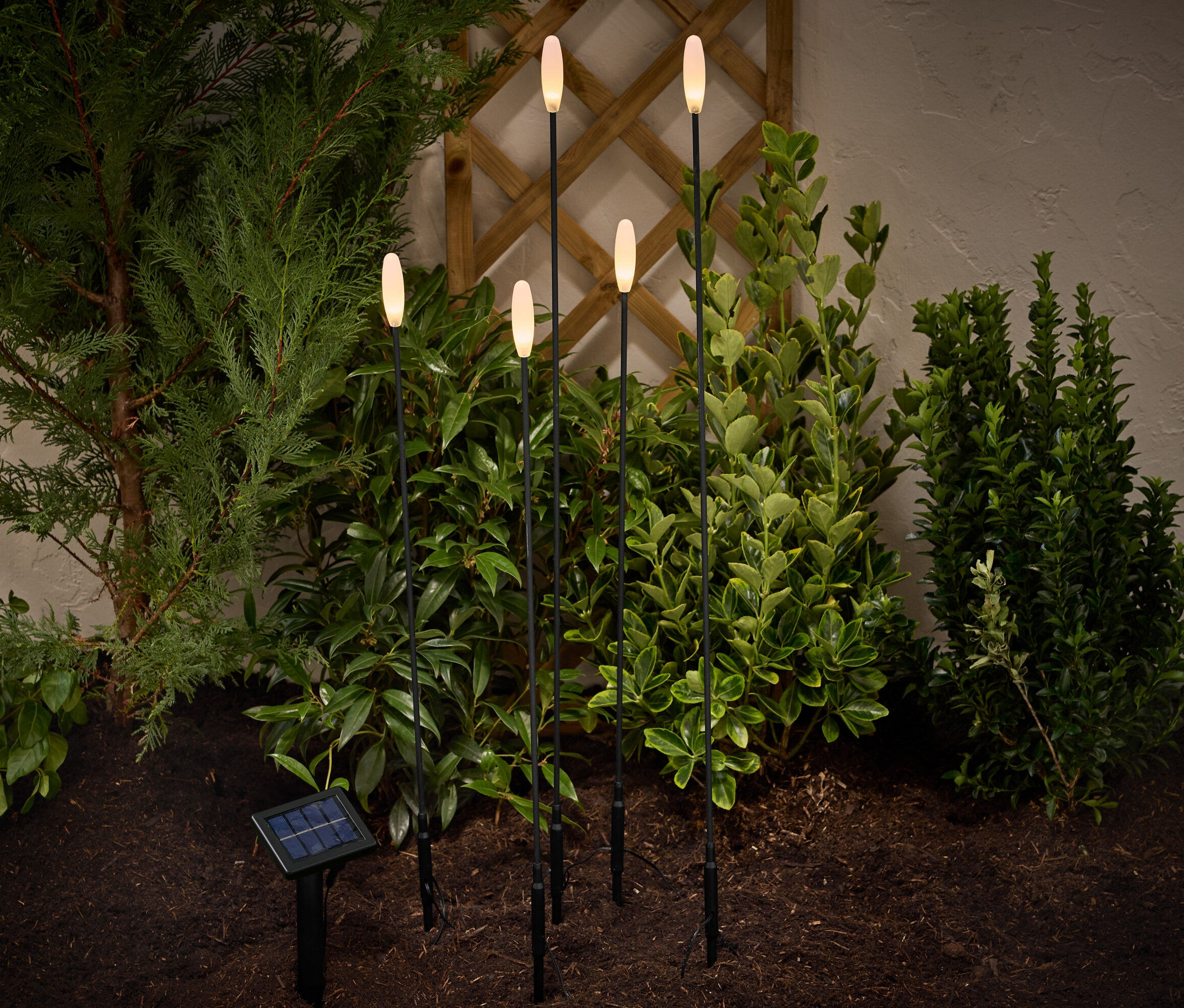V záhrade sú zapichnuté LED solárne bodce na zapichnutie.
