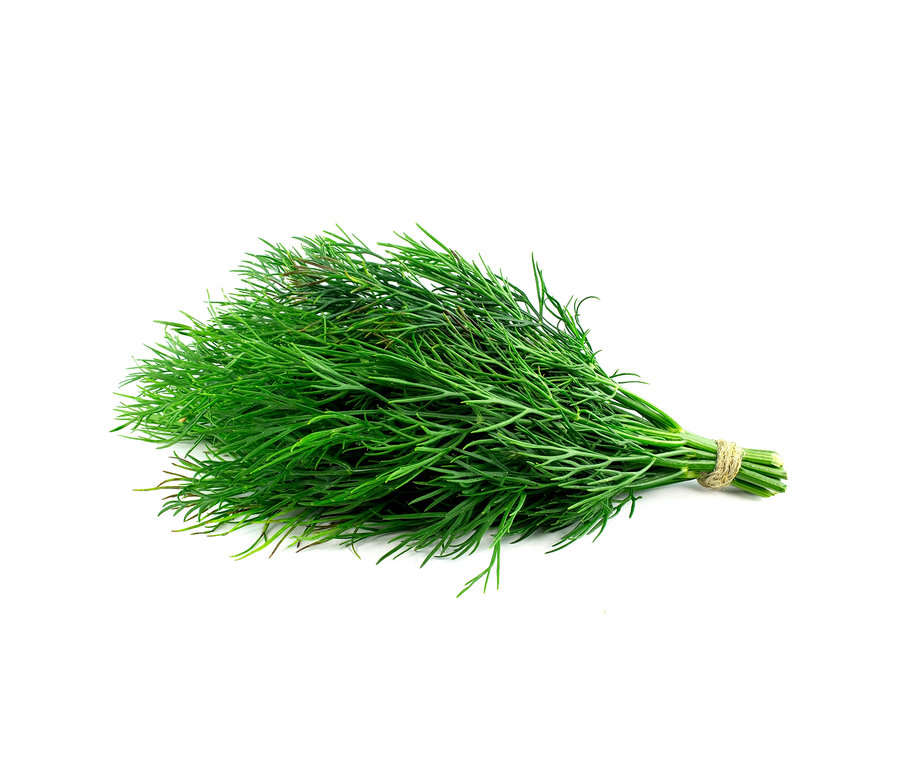 Zväzok zeleného kôpru 8 bylinkových klasík zviazaný šnúrkou.