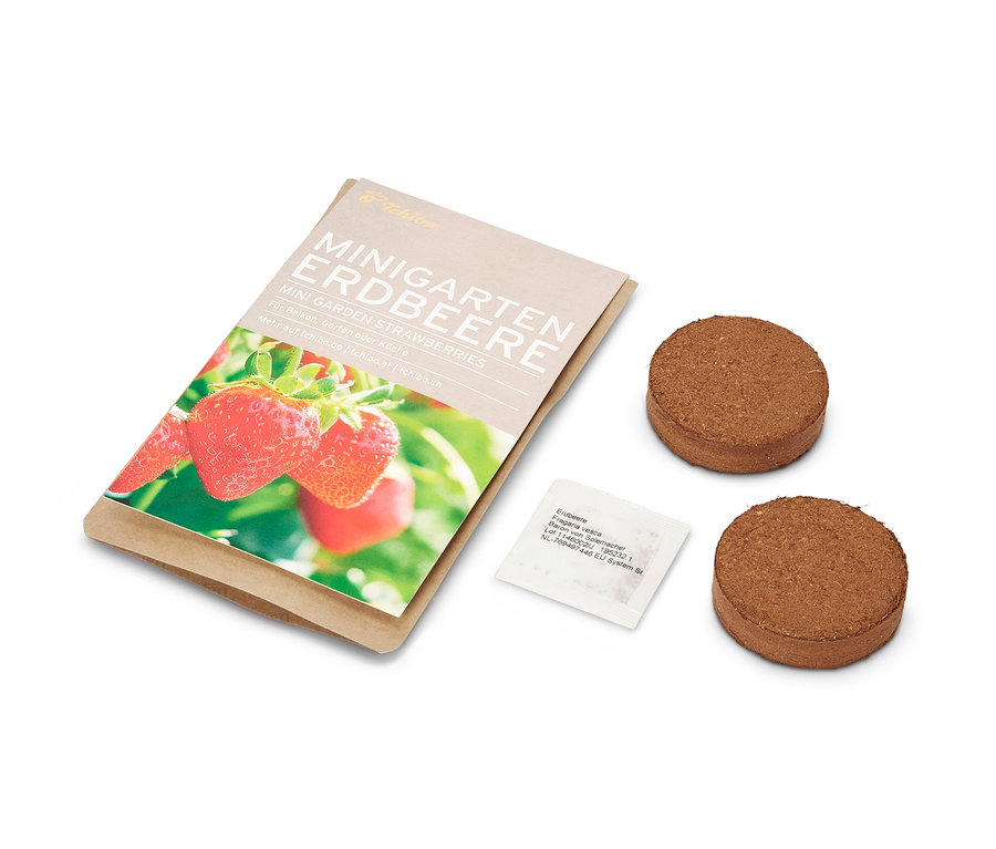 Mini záhradka v papierovom vrecku s jahodami, dve hnedé tablety a vrecko semien.