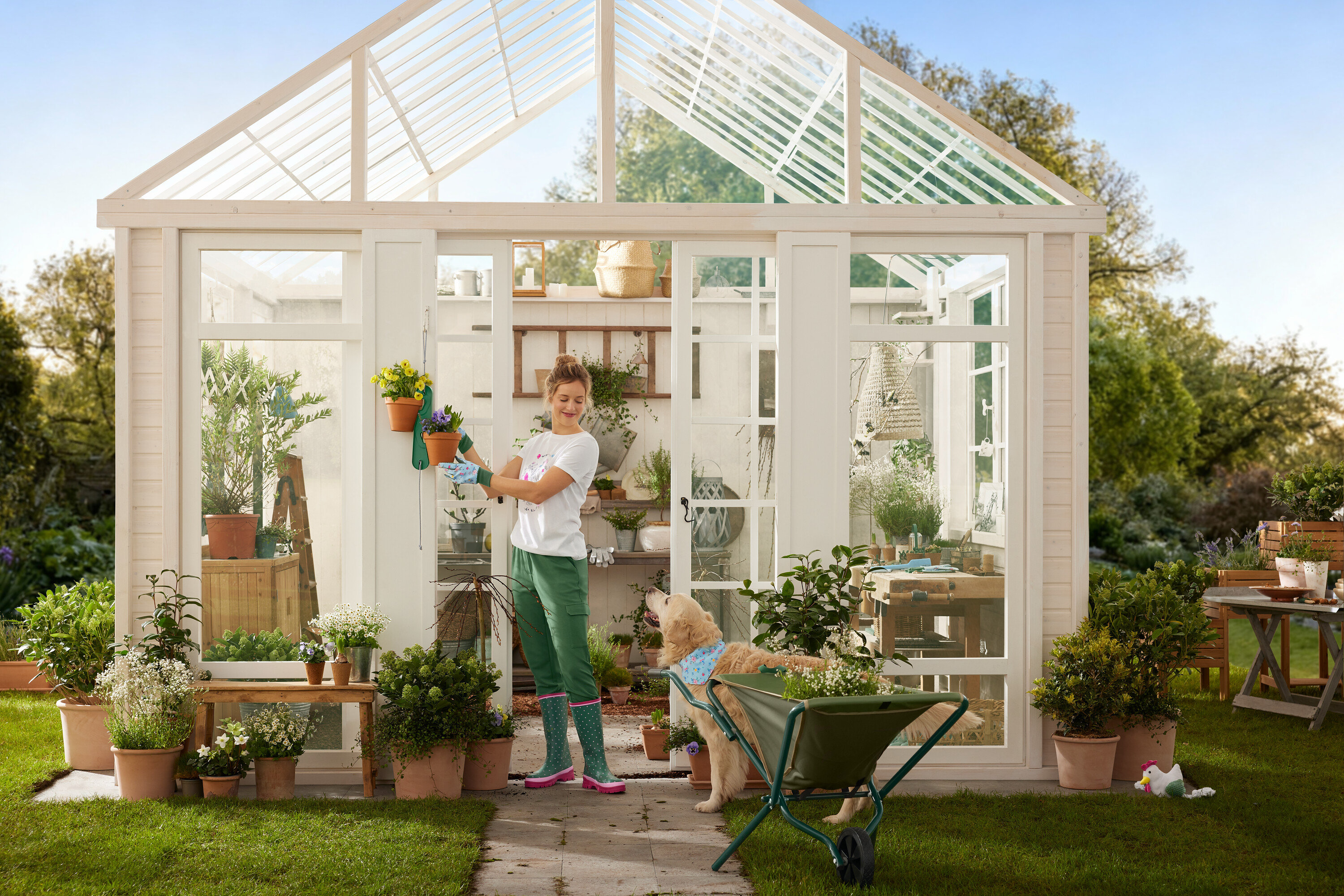 Žena v záhradníckych rukaviciach vešia kvetináče na skleník, zatiaľ čo pes stojí vedľa fúrika.