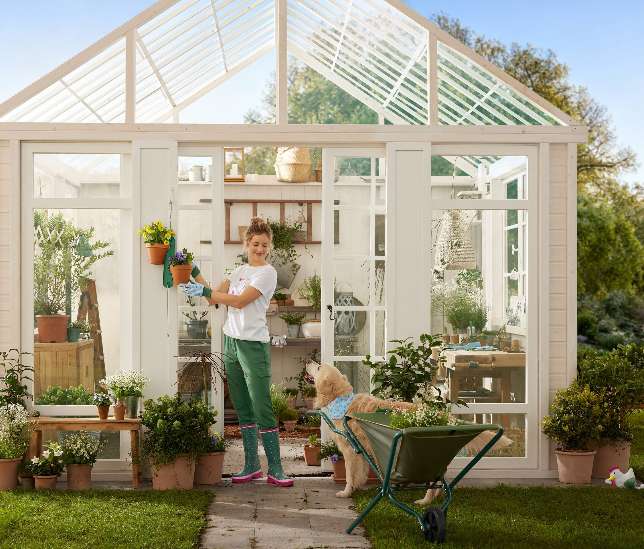 Žena v záhradníckych rukaviciach vešia kvetináče na skleník, zatiaľ čo pes stojí vedľa fúrika.