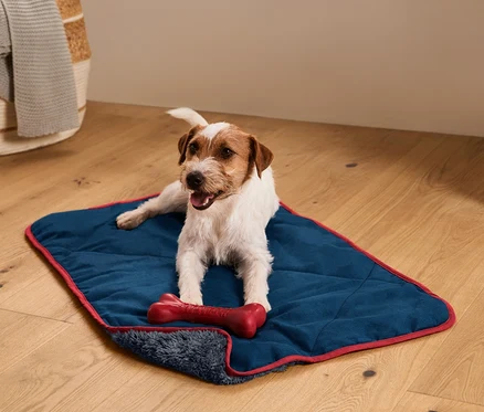Jack Russell teriér leží na hebkej deke pre psy s červenou kosťou.