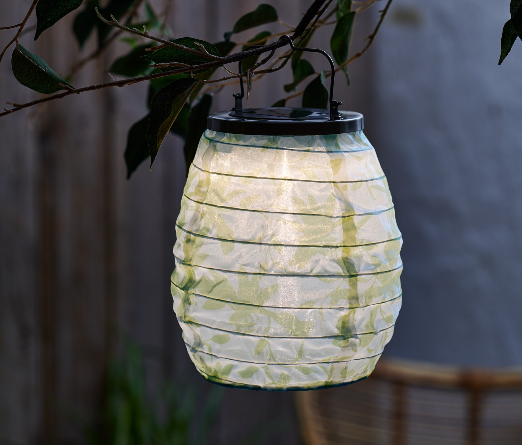 Zelený solárny lampión visí na konári stromu.