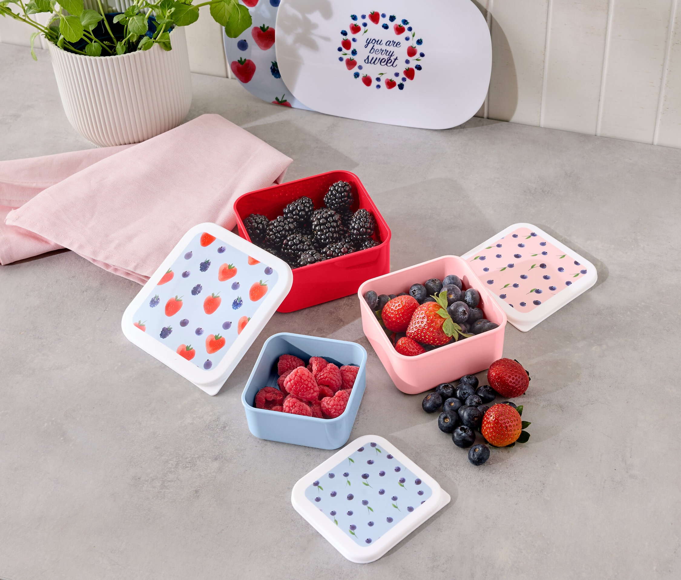 Štvorcové dózy na krmivo, 3 ks, plné černíc, malín, jahôd a čučoriedok.