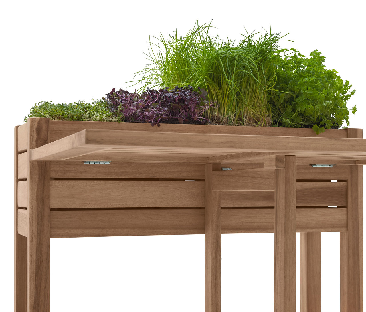 Detailný záber na drevený stôl na sadenie s rôznymi bylinkami, vrátane pažítky a petržlenu.