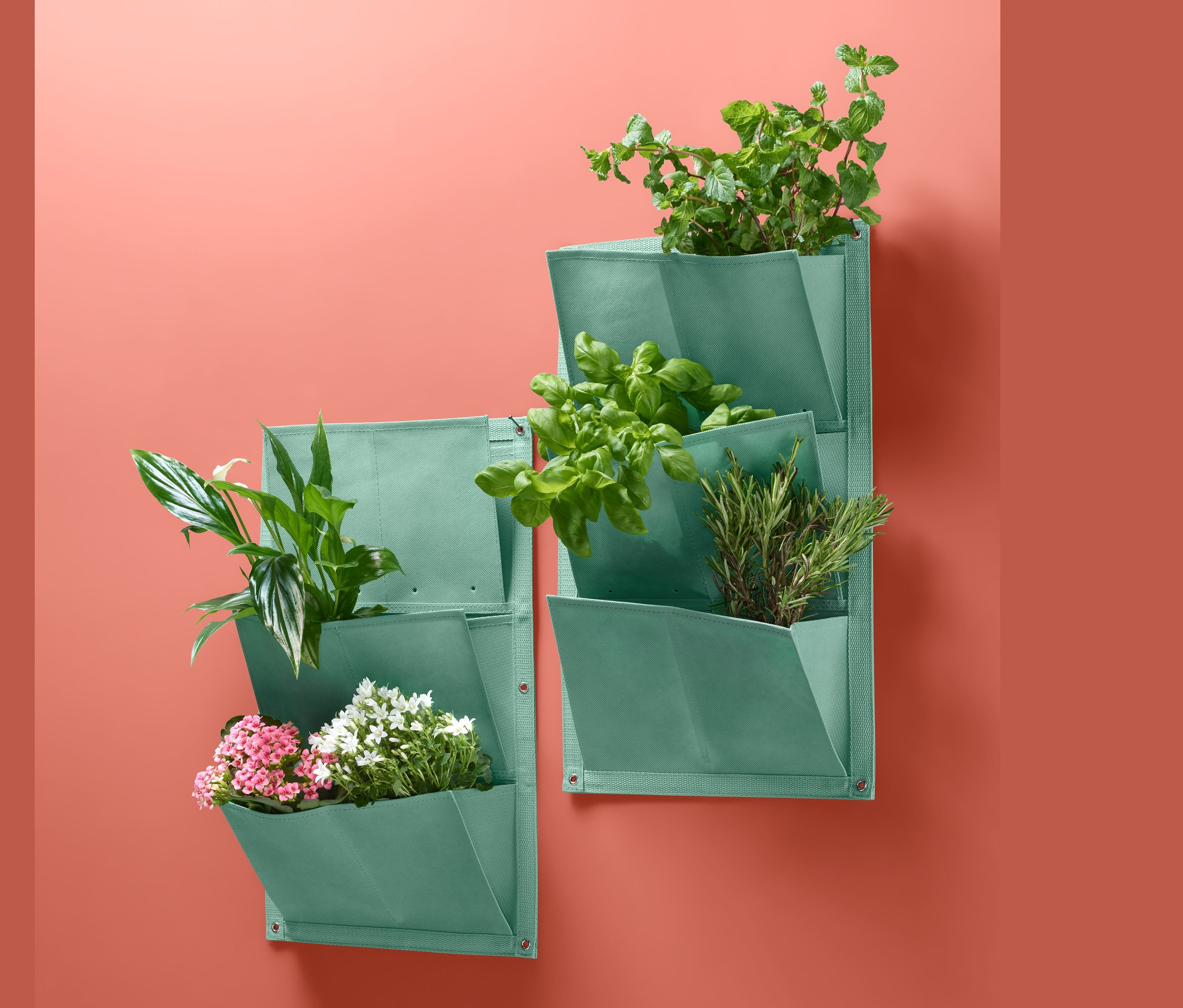 Dve zelené vrecká na pestovanie rastlín »Vertikálny záhon« s rastlinami na koralovej stene.