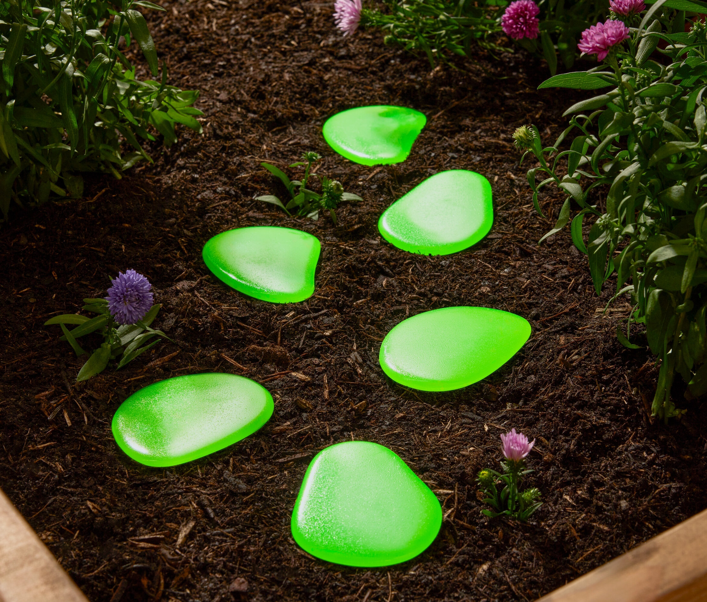 Zelené ozdobné kamene ležia v záhone medzi rastlinami.