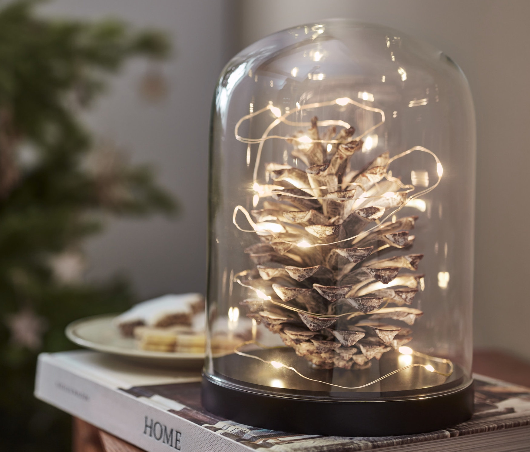 Šiška pod skleneným zvonom ovinutá svetelnou reťazou s mikro LED »Kvapky« stojí na knihe.