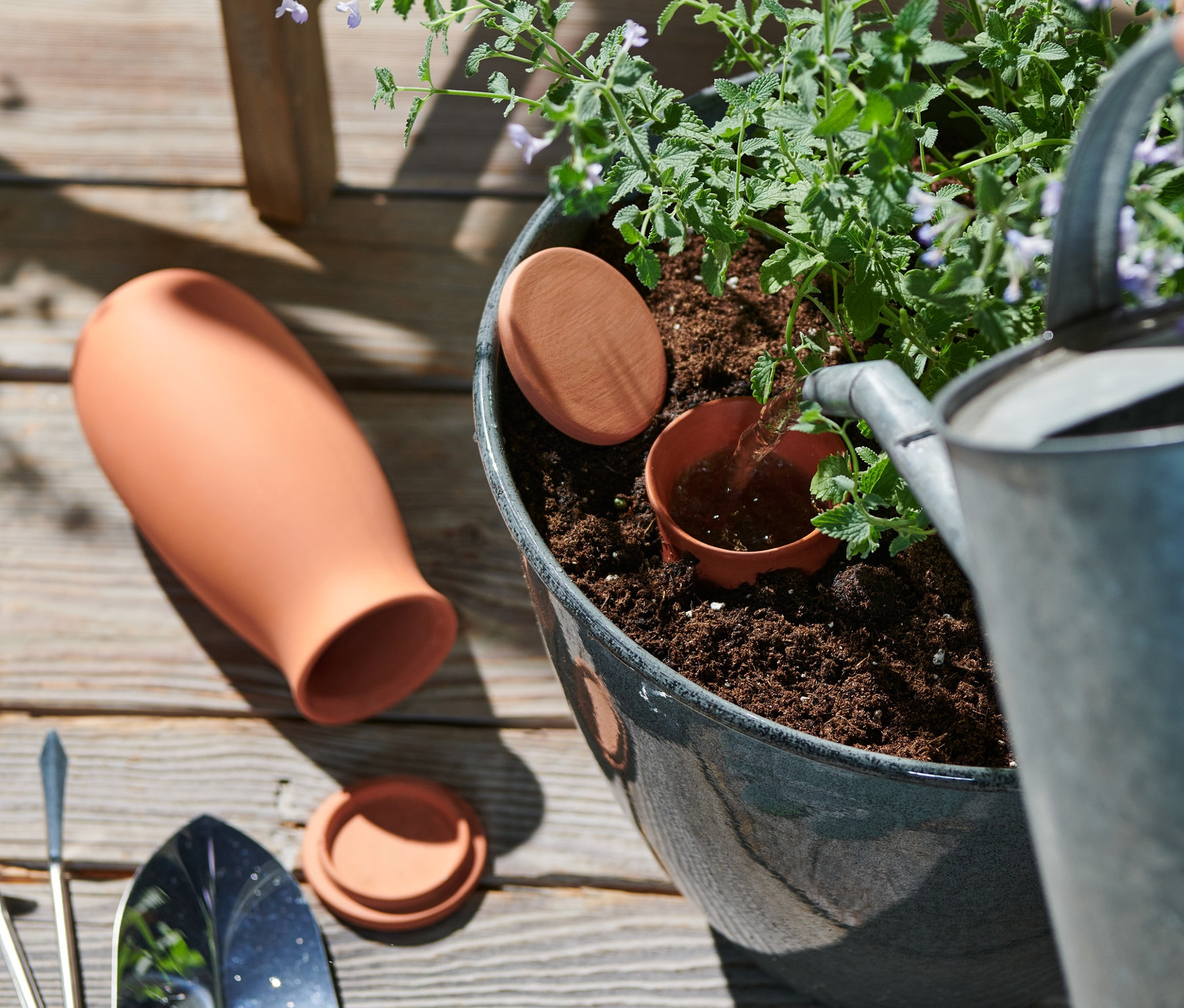 Zalievanie rastliny v kvetináči pomocou 2 hlinených zavlažovacích kužeľov, veľkých.
