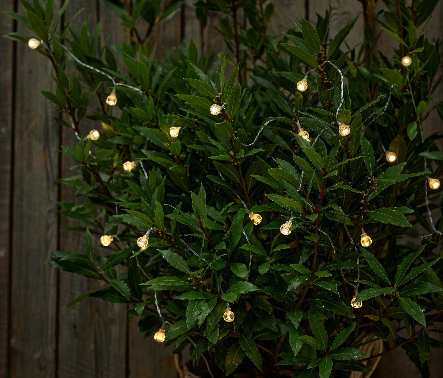 Solárna svetelná reťaz s guľôčkami ovinutá okolo rastliny v hnedom kvetináči.