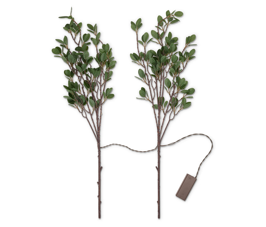 Dve vetvičky s malými zelenými lístkami spojené káblom s puzdrom na batérie.