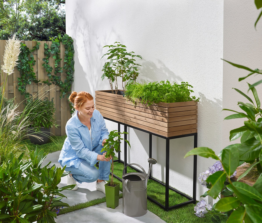 Žena kľačí v záhrade a sadí sadenicu vedľa vyvýšeného záhona s bylinkami, kanvy na polievanie a kvetináča.