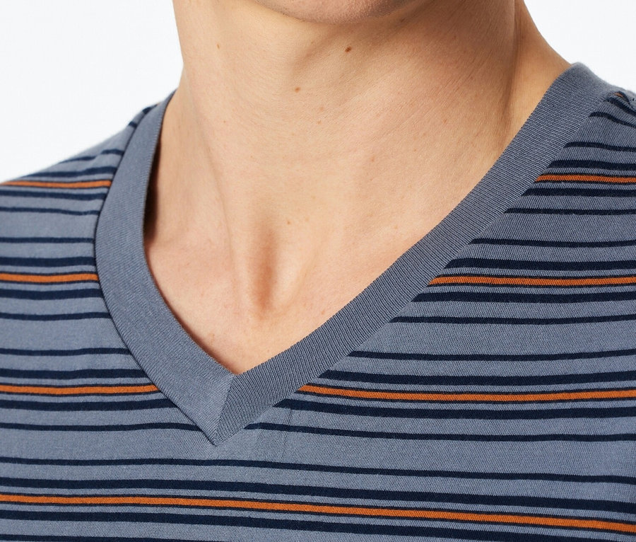 Detail muža v modrom pruhovanom tričku s véčkovým výstrihom.