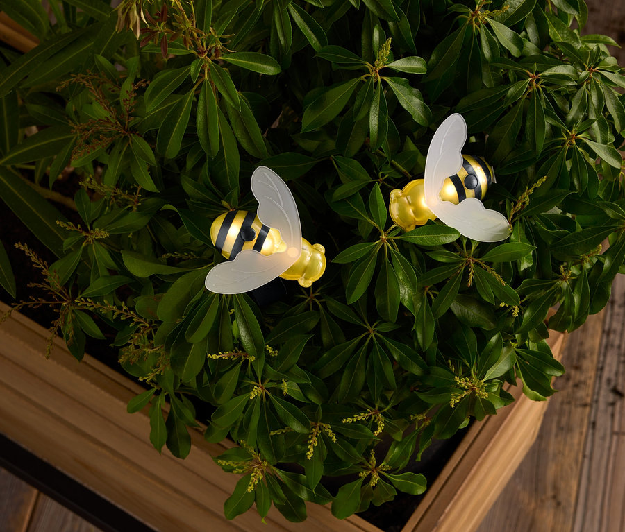 Dve žlté a čierno-biele včely s priesvitnými krídlami uprostred zelených listov v drevenej krabici.