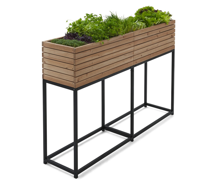 Vyvýšený záhon z dreva s rôznymi bylinkami a šalátom na čiernom kovovom ráme.