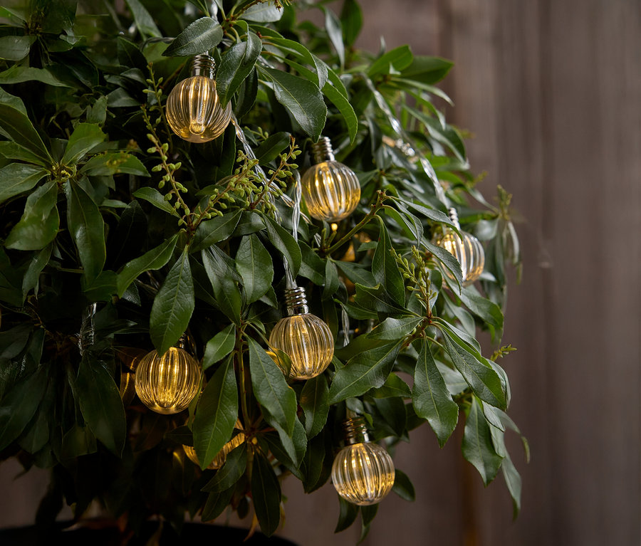 Detailný záber stromu s malými žltými žiarovkami visiacimi medzi listami.