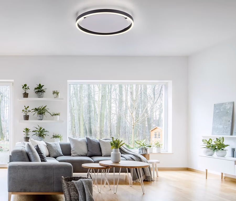Obývacia izba so sivou sedačkou a LED stropným svietidlom JUST LIGHT . LED Deckenleuchte »Ritus«.