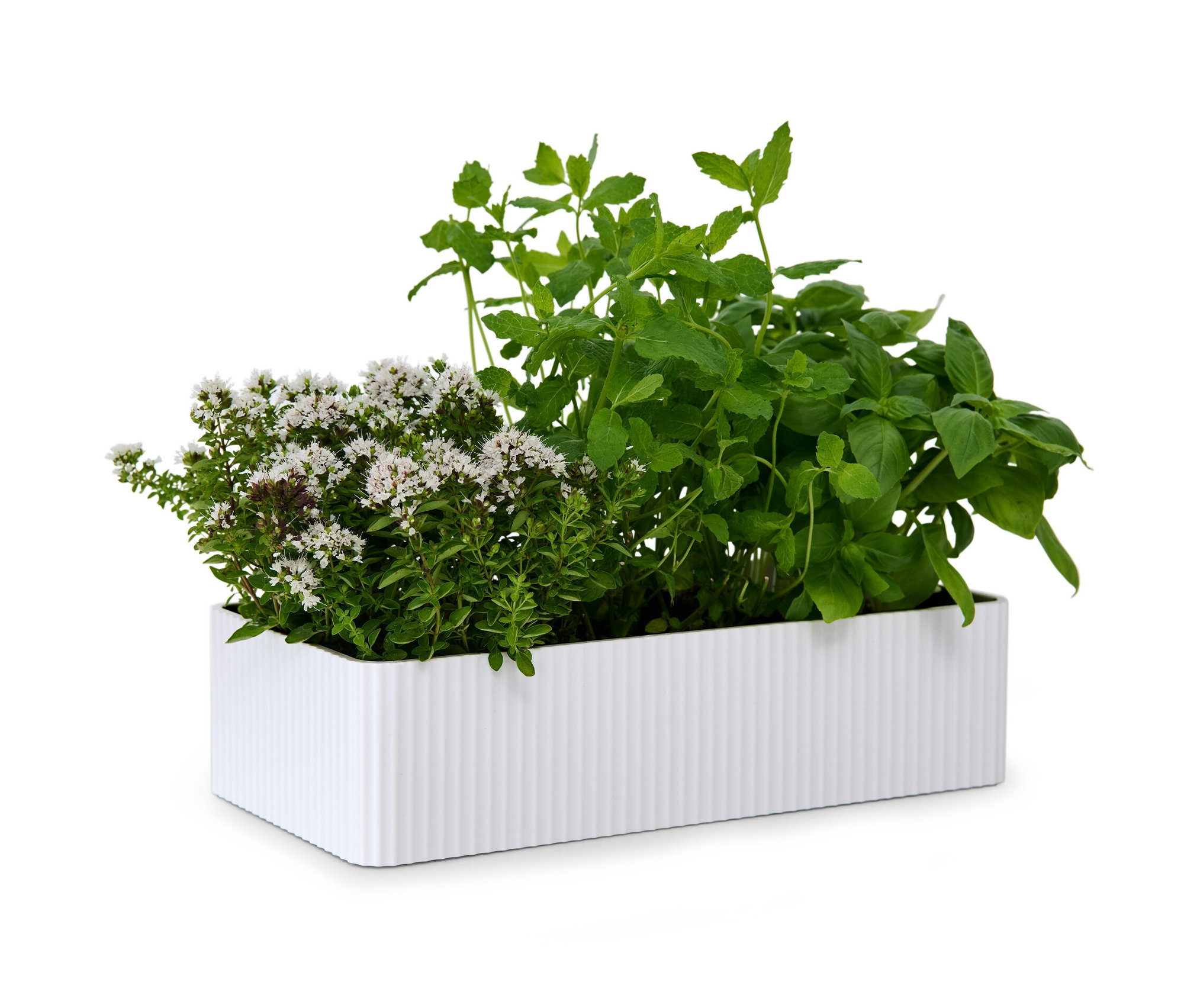 Tchibo - Úložný box