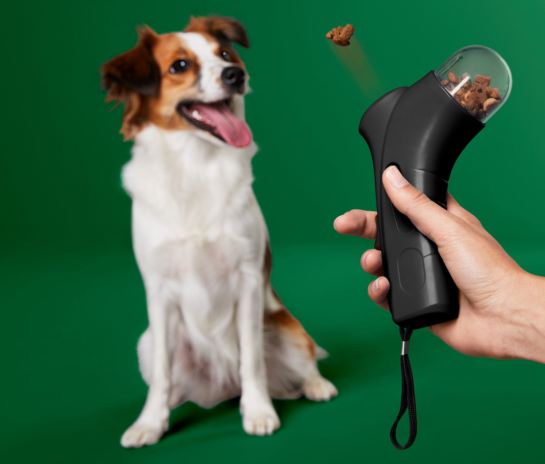 Ruka drží čierny zásobník na pochúťky a vystreľuje maškrtu psovi.