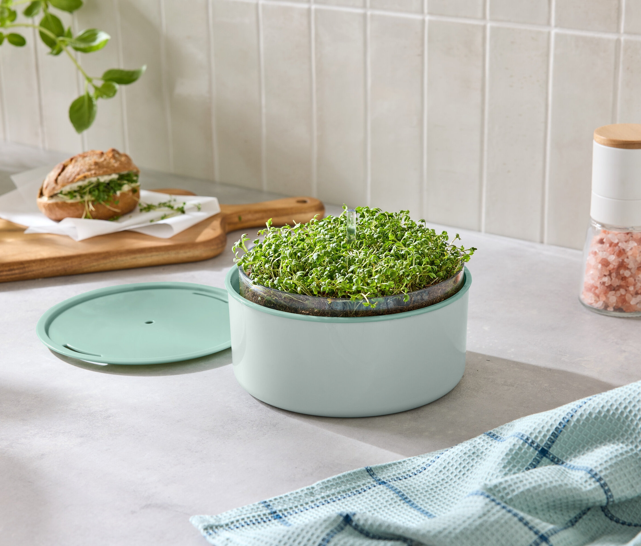 Fotografia dosky s miskou na klíčenie, sendvičom, soľničkou a utierkou.