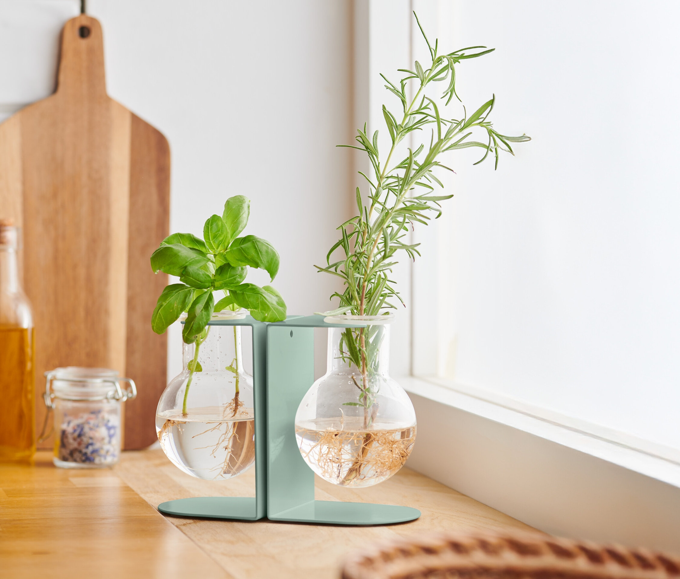 Bazalka a rozmarín v stanici na odrezky na kuchynskej linke.