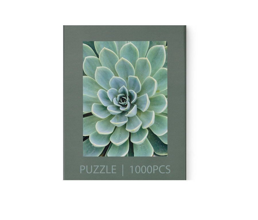 Balenie puzzle »Sukkulente«.