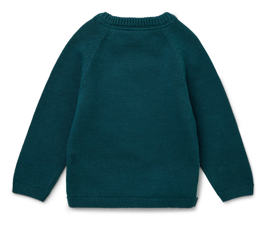 Zadná strana zeleného svetra s dlhým rukávom.