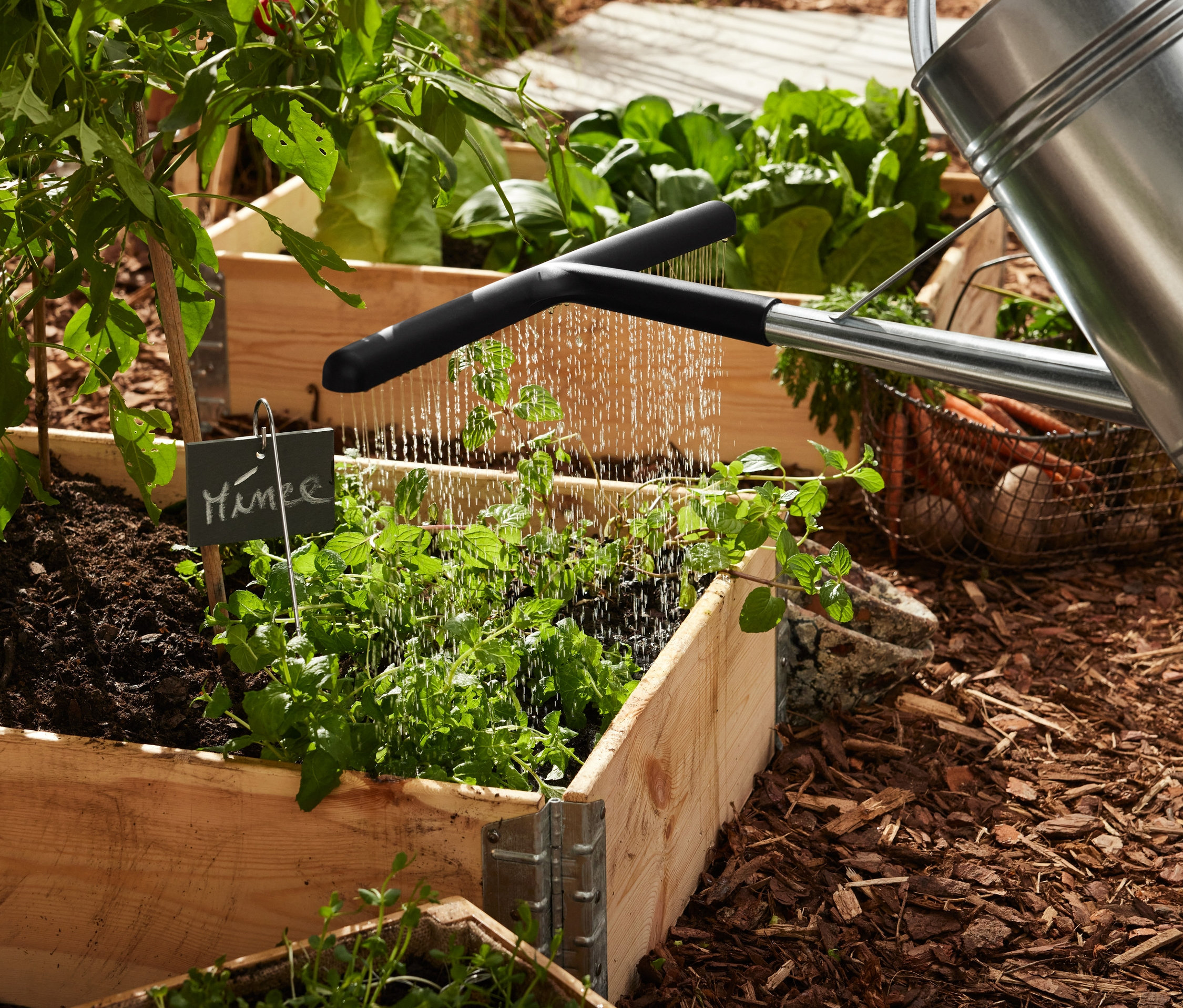 Strieborná krhla s nadstavcom na krhlu zalieva rastliny v drevenom vyvýšenom záhone. V záhone sú bridlicové označovače záhonov.