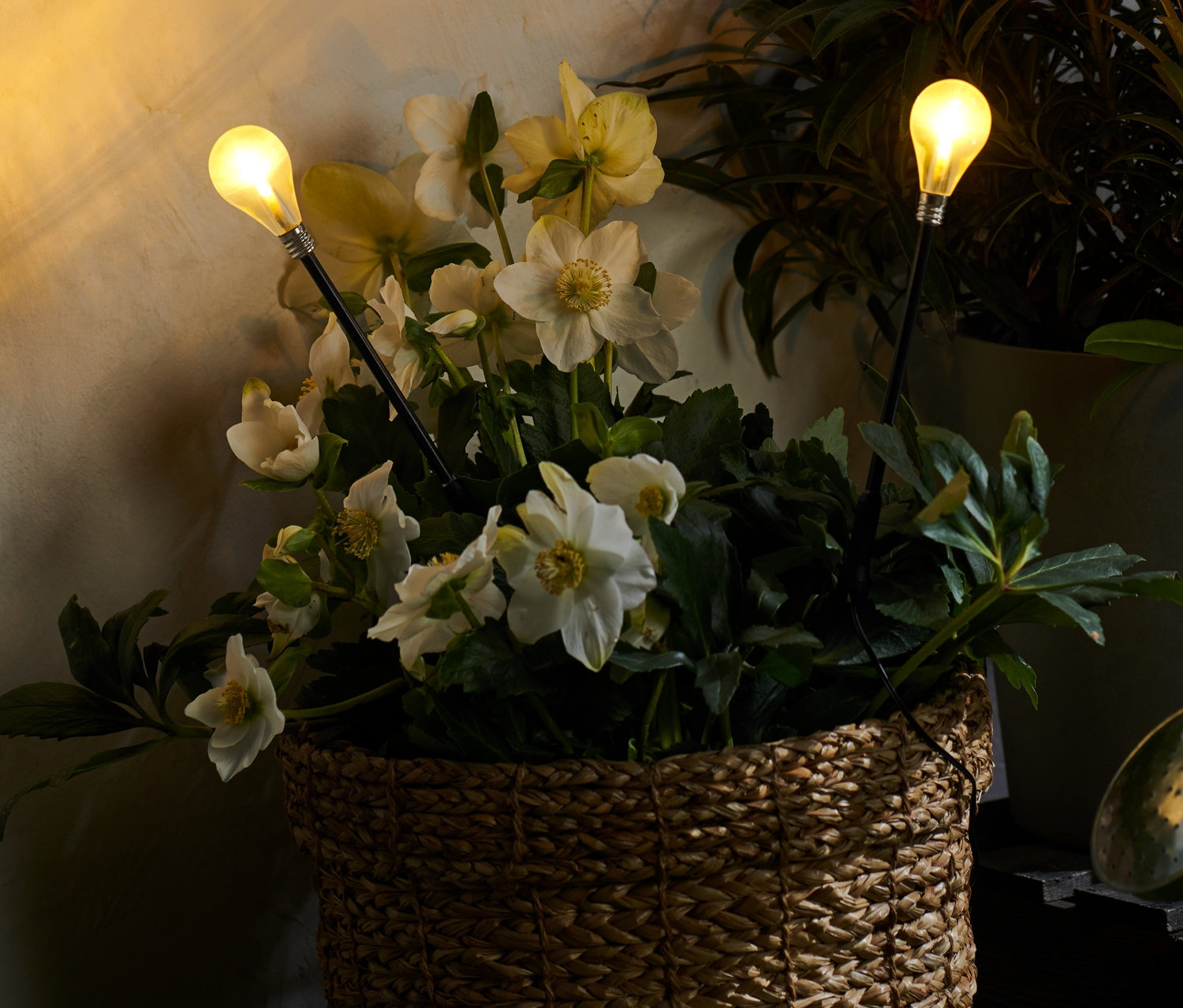 Tchibo - Zapichovacie svietidlá s Led, 2 ks