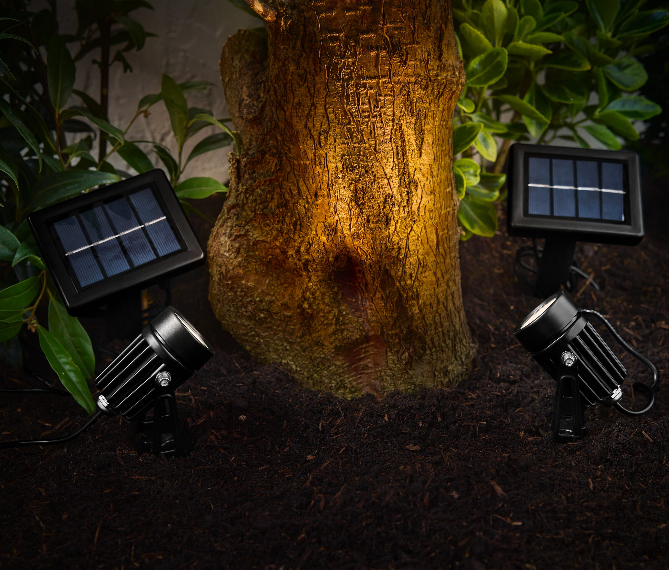 Dva solárne reflektory osvetľujú kmeň stromu v záhrade.