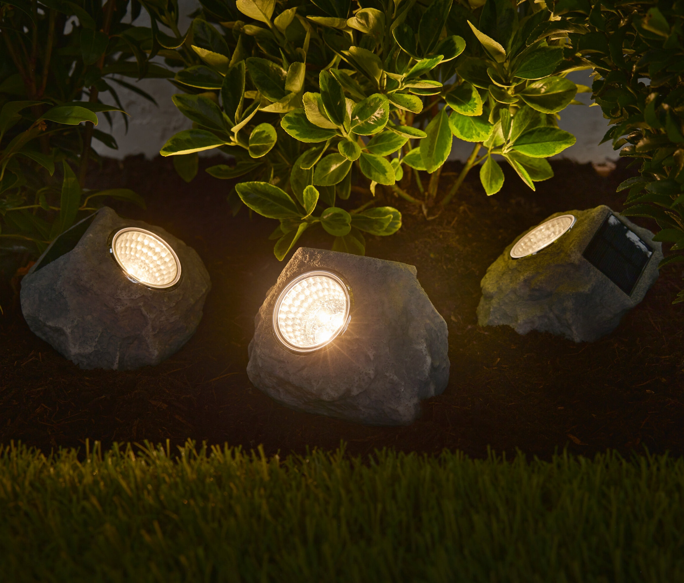 Tri prémiové solárne LED kamene osvetľujú záhon s rastlinami.