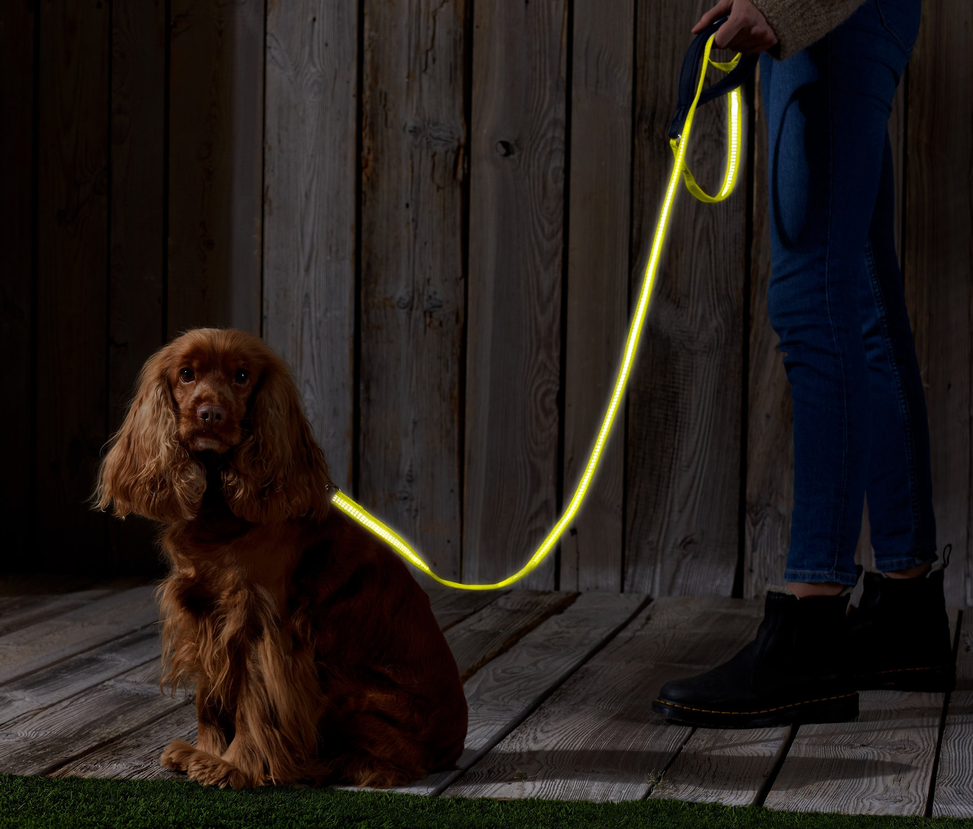 Hnedý kokeršpaniel sedí vedľa osoby, ktorá drží vôdzku pre psy s reflexnými prvkami.
