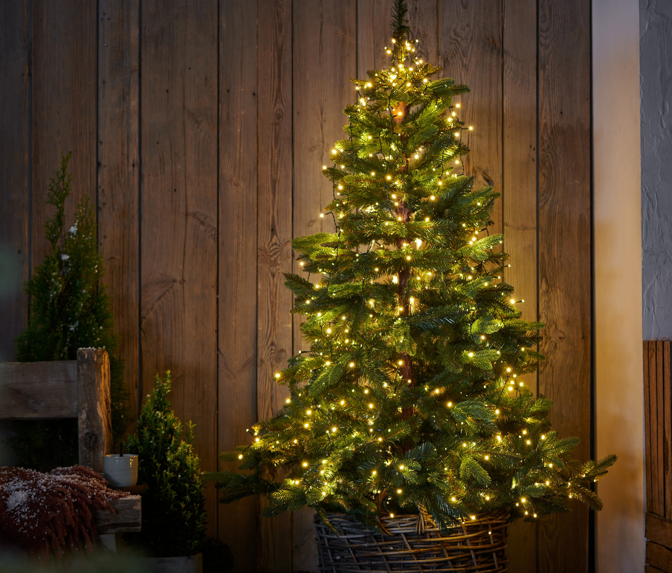 Vianočný stromček s LED osvetlením v prútenom koši stojí pri drevenej stene.