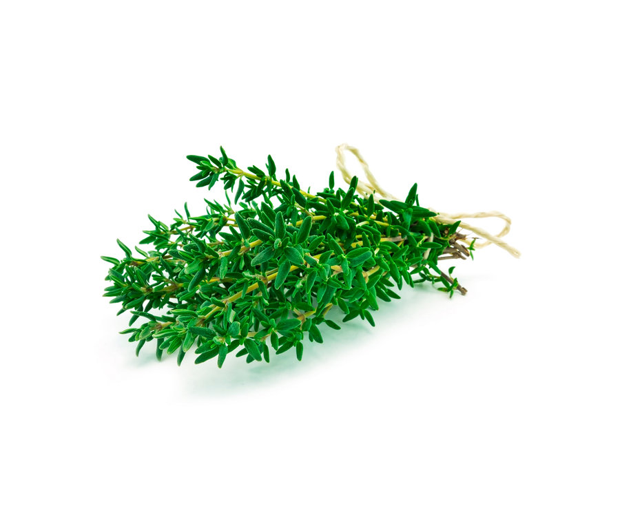 Zväzok 8 bylinkových klasík, zviazaný šnúrkou.