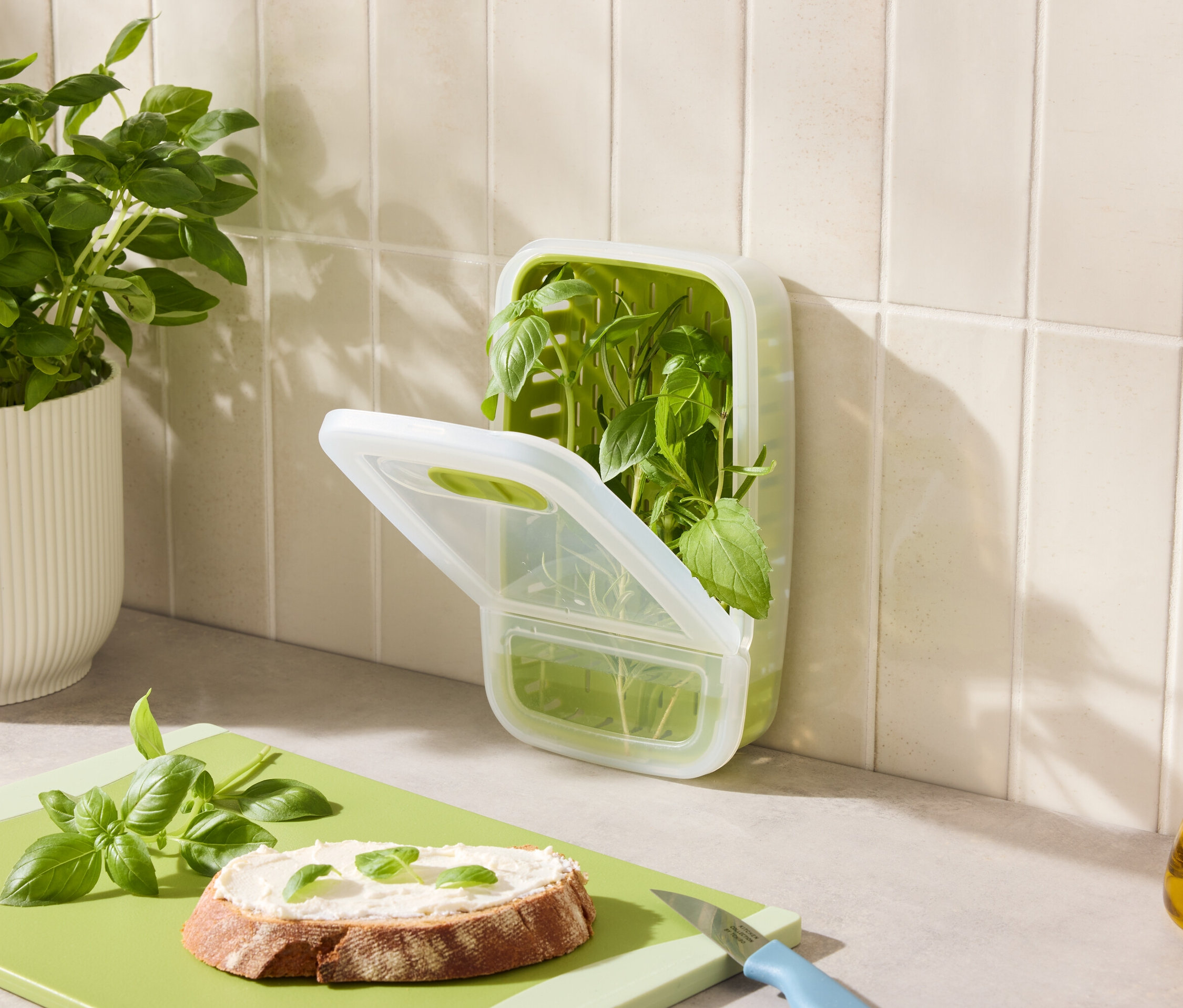 Na linke je bazalka v kvetináči, nádoba s bazalkou, chlieb s bazalkou a olej.