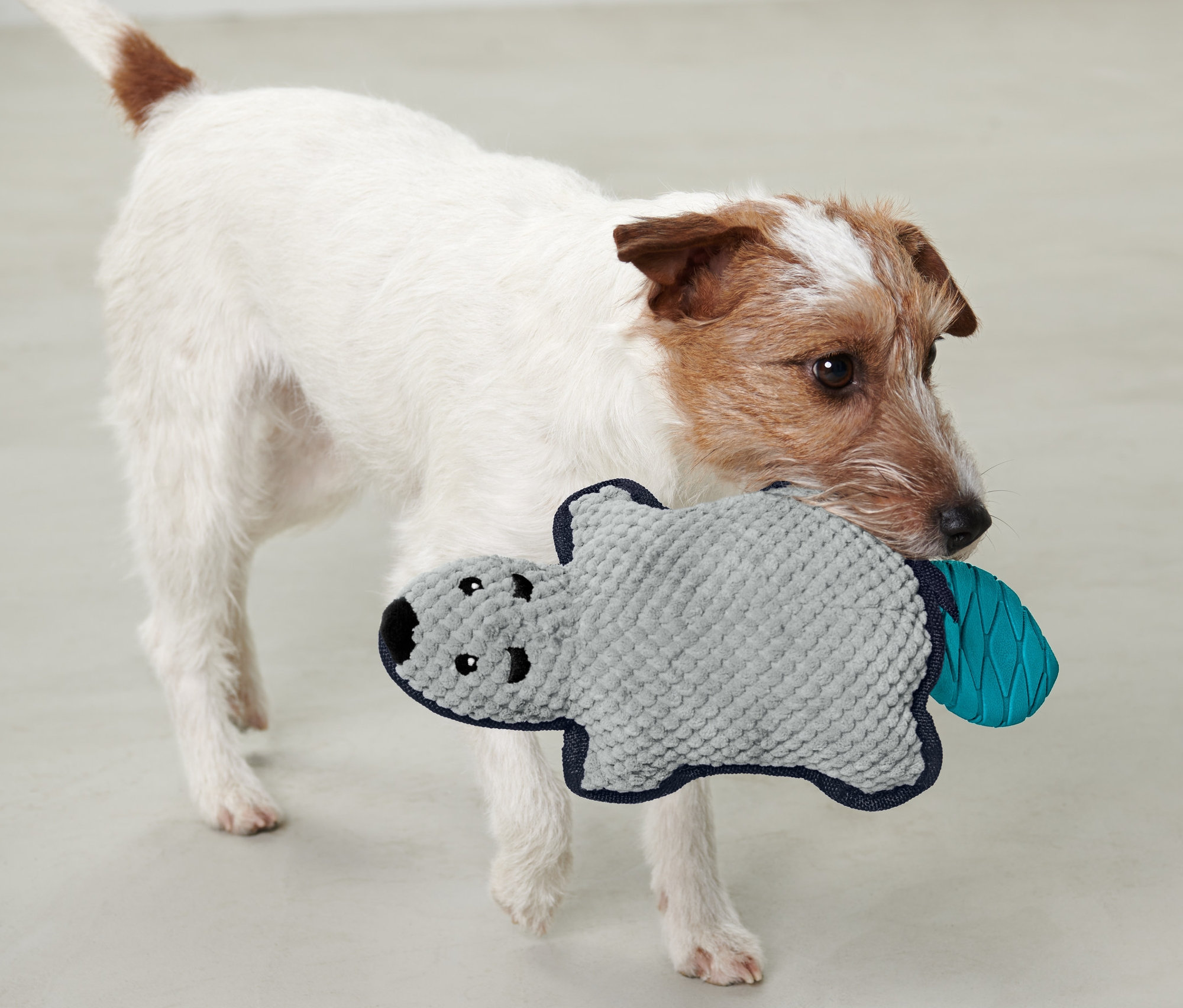 Pes drží v papuli plyšovú hračku pre psy »Bobor«.