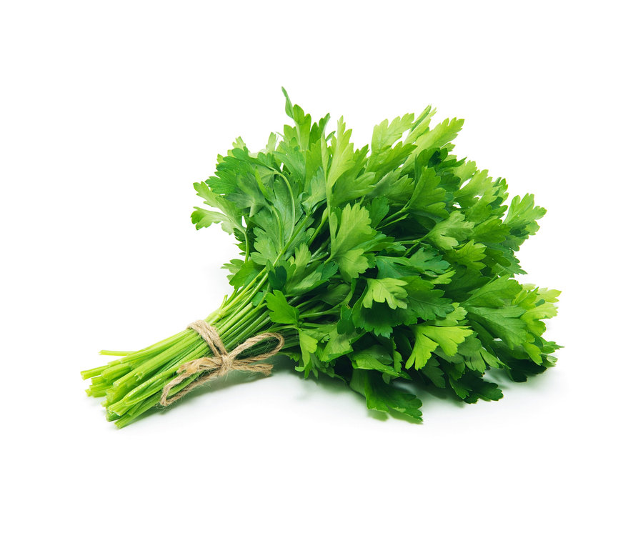 Zväzok zelenej petržlenovej vňate 8 bylinkových klasík zviazaný špagátom leží na bielom pozadí.