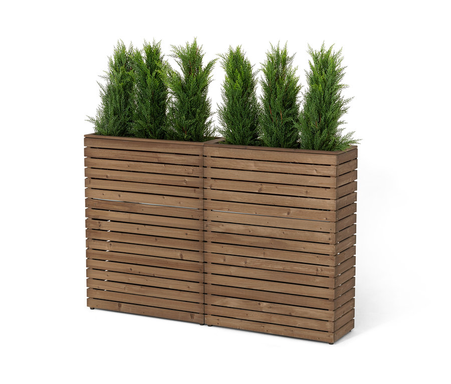 Dve oddeľovacie steny s kvetináčmi »Tinus« s ihličnatými stromami.