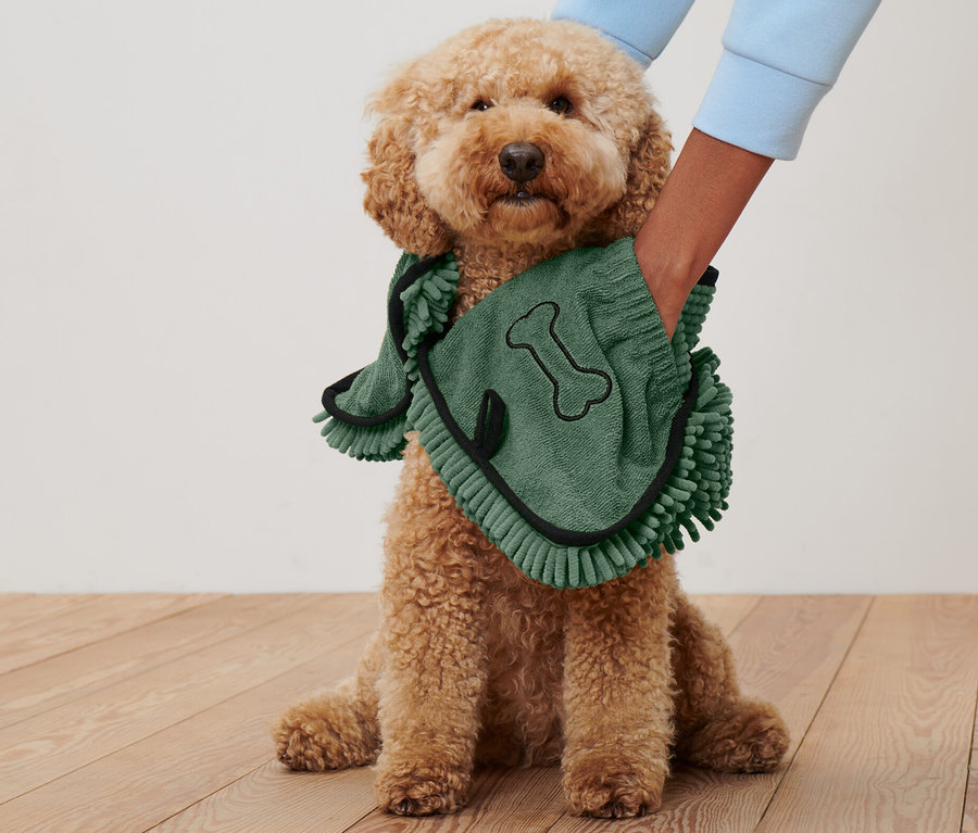 Pudel sedí, zatiaľ čo ho niekto utiera zeleným uterákom pre psy s rukoväťou.