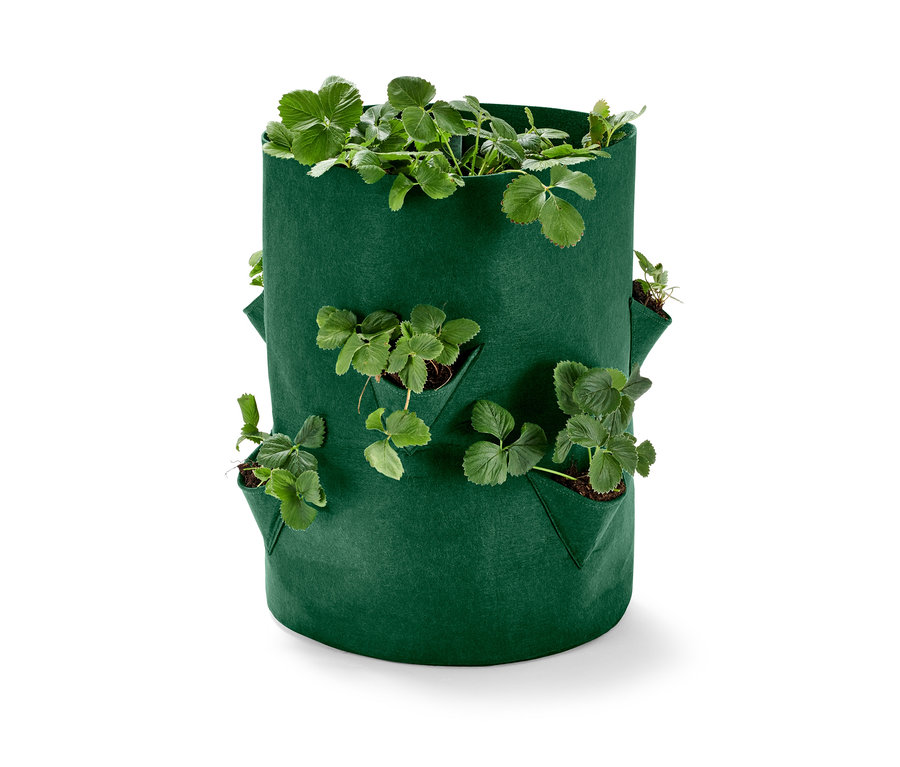 Zelená taška na sadenie jahôd s rastlinami.