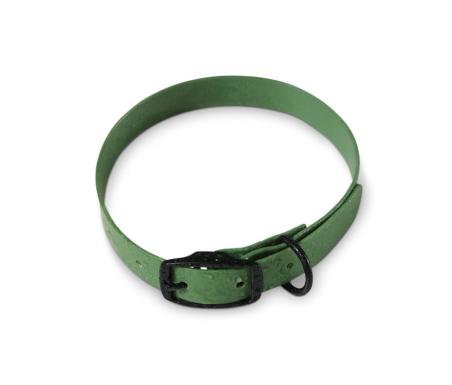 Zelený obojok pre psy leží na bielom pozadí.