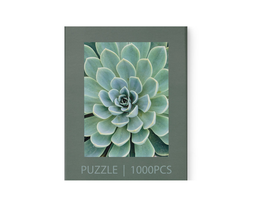 Balenie puzzle »Sukkulente«.