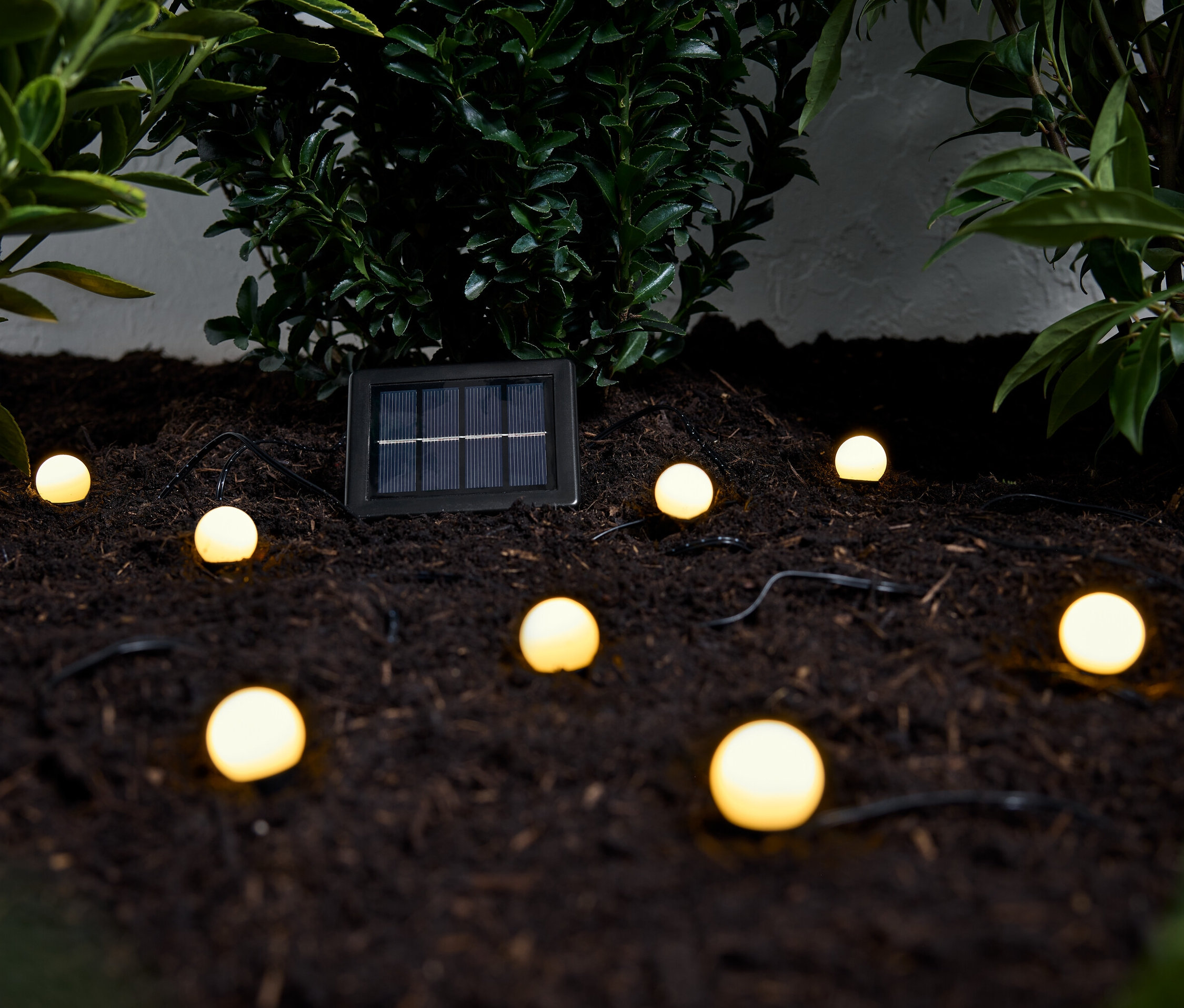 Solárna svetelná reťaz na zapichnutie do zeme s niekoľkými okrúhlymi svetlami leží na hnedej zemi medzi zelenými rastlinami.