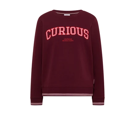 Bordová mikina CECIL s červeným nápisom „CURIOUS“ a „LEARNING NEVER STOPS“ na hrudi.